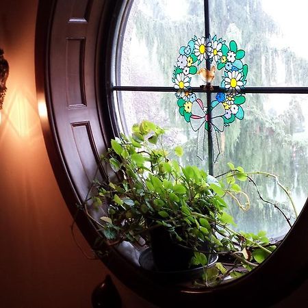Kocsis Panzio Es Etterem Bed & Breakfast Komárom Eksteriør bilde